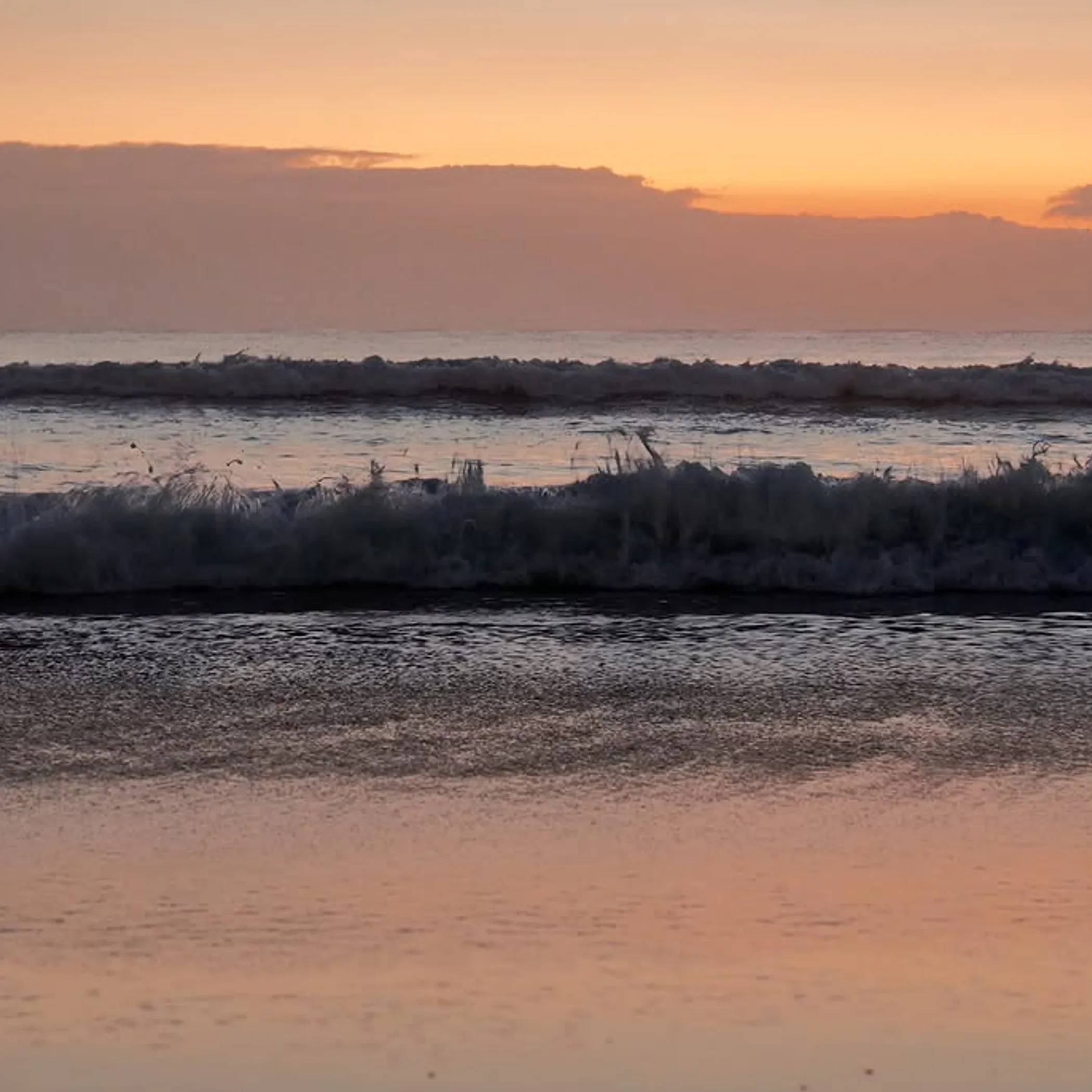 queenscliff beach photograph